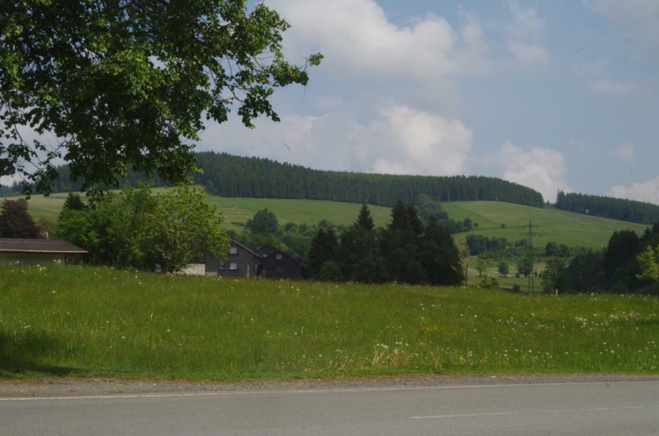 Das Gelbe Haus 3 Apartment Winterberg Bagian luar foto